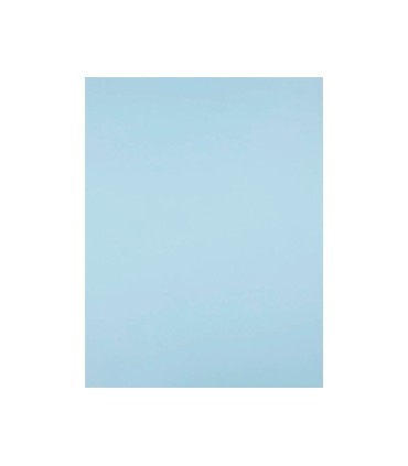 Cartulina liderpapel 50x65 cm 180g m2 azul