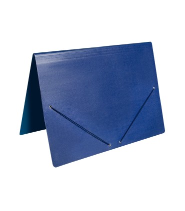 Carpeta planos liderpapel a2 carton gofrado n 12 azul