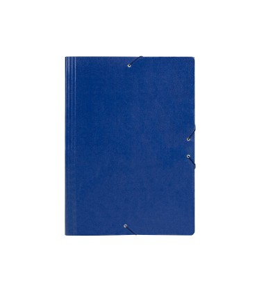 Carpeta planos liderpapel a2 carton gofrado n 12 azul