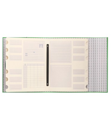 Carpeta clasificadora liderpapel 12 departamentos folio prolongado carton forrado verde claro