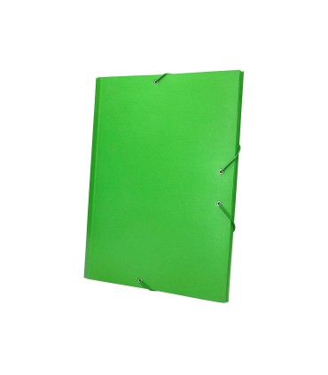 Carpeta clasificadora liderpapel 12 departamentos folio prolongado carton forrado verde claro