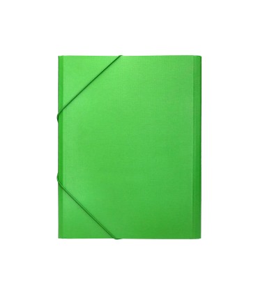 Carpeta clasificadora liderpapel 12 departamentos folio prolongado carton forrado verde claro