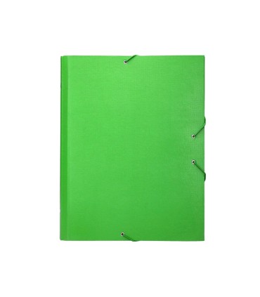 Carpeta clasificadora liderpapel 12 departamentos folio prolongado carton forrado verde claro