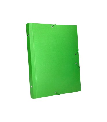 Carpeta clasificadora liderpapel 12 departamentos folio prolongado carton forrado verde claro