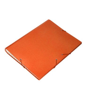 Carpeta clasificadora liderpapel 12 departamentos folio prolongado carton forrado naranja