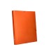 Carpeta clasificadora liderpapel 12 departamentos folio prolongado carton forrado naranja