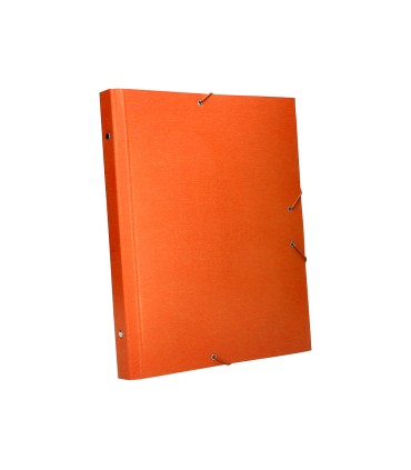 Carpeta clasificadora liderpapel 12 departamentos folio prolongado carton forrado naranja