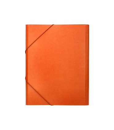 Carpeta clasificadora liderpapel 12 departamentos folio prolongado carton forrado naranja