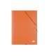 Carpeta clasificadora liderpapel 12 departamentos folio prolongado carton forrado naranja