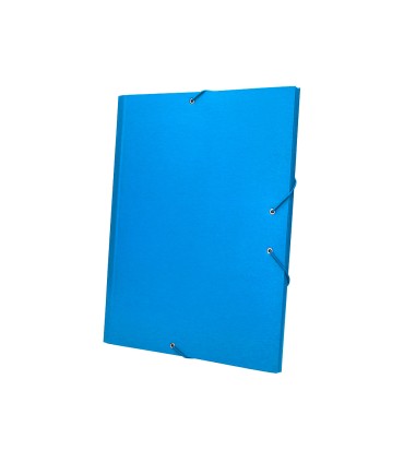 Carpeta clasificadora liderpapel 12 departamentos folio prolongado carton forrado celeste