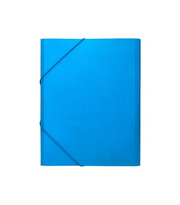 Carpeta clasificadora liderpapel 12 departamentos folio prolongado carton forrado celeste