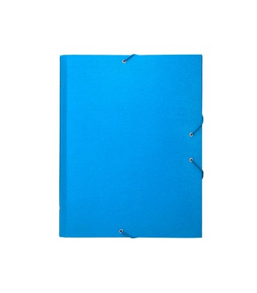 Carpeta clasificadora liderpapel 12 departamentos folio prolongado carton forrado celeste