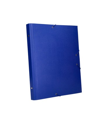 Carpeta clasificadora liderpapel 12 departamentos folio prolongado carton forrado azul