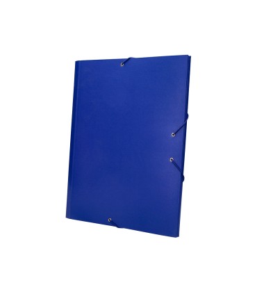 Carpeta clasificadora liderpapel 12 departamentos folio prolongado carton forrado azul