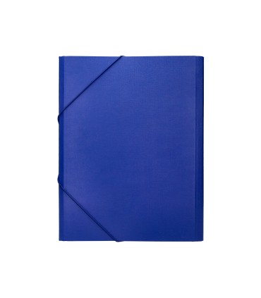 Carpeta clasificadora liderpapel 12 departamentos folio prolongado carton forrado azul