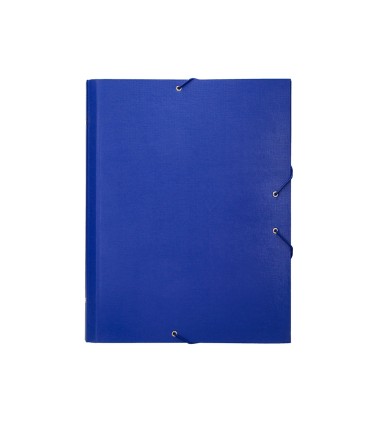 Carpeta clasificadora liderpapel 12 departamentos folio prolongado carton forrado azul