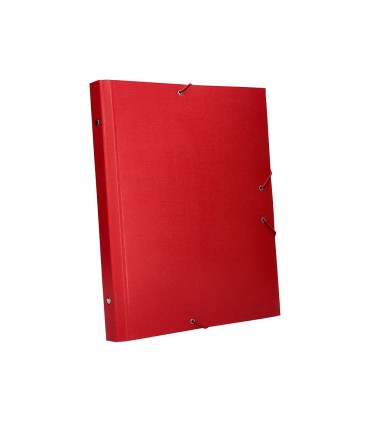 Carpeta clasificadora liderpapel 12 departamentos folio prolongado carton forrado roja