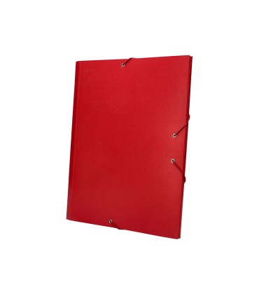 Carpeta clasificadora liderpapel 12 departamentos folio prolongado carton forrado roja