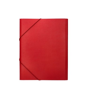 Carpeta clasificadora liderpapel 12 departamentos folio prolongado carton forrado roja