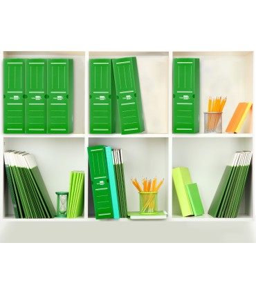 Caja archivo definitivo plastico liderpapel verde 360x260x100 mm