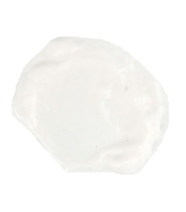 Pintura latex la pajarita blanco 35 ml