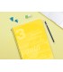 Cuaderno espiral liderpapel folio pautaguia tapa plastico 80h 75gr cuadro pautado 3mm con margen color amarillo