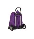 Mochila safta con carro evolution real valladolid 160x320x440 mm