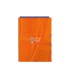 Carpeta gomas safta folio solapas valencia basket club 260x25x335 mm