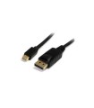 Cables audio-video startech cable 2m mini displayport dp