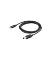 Adaptadores startech cable 2m usb-c a usb b macho