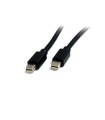 Cables audio-video startech cable de 2m mini displayport