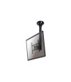 Soporte tv/monitor newstar flatscreen ceiling mount