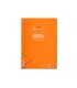 Cuaderno espiral liderpapel din a4 pautaguia tapa plastico80h 90gr cuadro pautado 4mm con margen color naranja