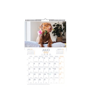 Calendario espiral pared liderpapel imagenes perros 2025 para escribir 25x40 cm papel 157 gr