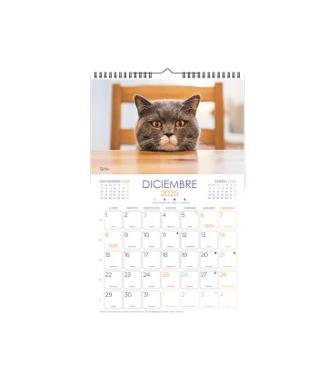 Calendario espiral pared liderpapel imagenes gatos 2025 para escribir 25x40 cm papel 157 gr