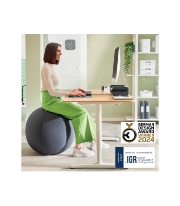 Balon de asiento leitz active sitzball antideslizante 65 cm color gris oscuro