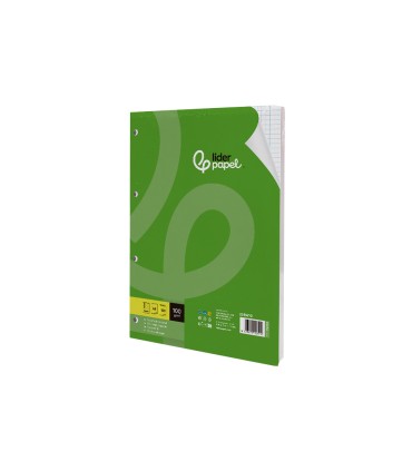 Recambio liderpapel a4 100 hojas 100g m2 cuadro 5 mm con margen 4 taladros