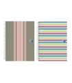 Cuaderno espiral oxford europeanbook 5 tapa extradura din a4+ 120 hojas horizontal