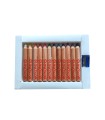 Lapices de colores playcolor maxi basic con sacapuntas caja de 12 unidades colores surtidos