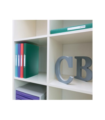 Carpeta esselte colour breeze 2 anillas redondas 25 mm din a4 polipropileno colores surtidos