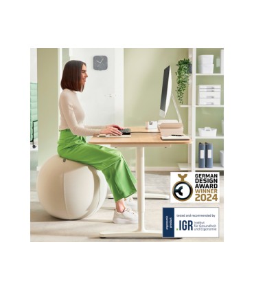 Balon de asiento leitz active 65 cm antideslizante color gris