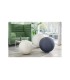 Balon de asiento leitz active 65 cm antideslizante color gris