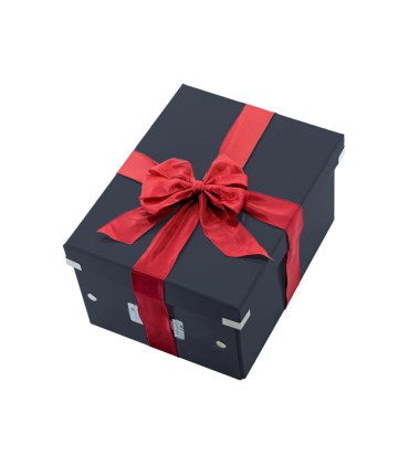 Caja de almacenamiento leitz clickstore pequena color negro 216x160x282 mm