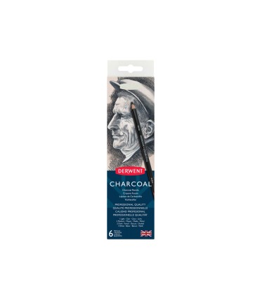 Lapices carboncillo derwent charcoal caja de 6 unidades surtidas