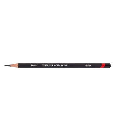 Lapiz carboncillo derwent blister de 4 unidades