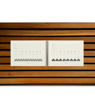 Cuaderno rubio caligrafia para la vida vol 1
