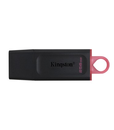 Memoria kingston pendrive exodia 256gb