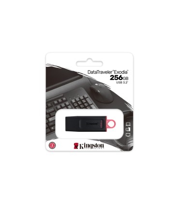 Memoria kingston pendrive exodia 256gb